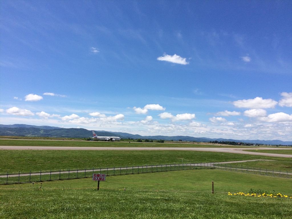 絶景 まさにデスクトップの壁紙 Windowsxp草原 北海道旭川空港グリーンパーク なみさ日記